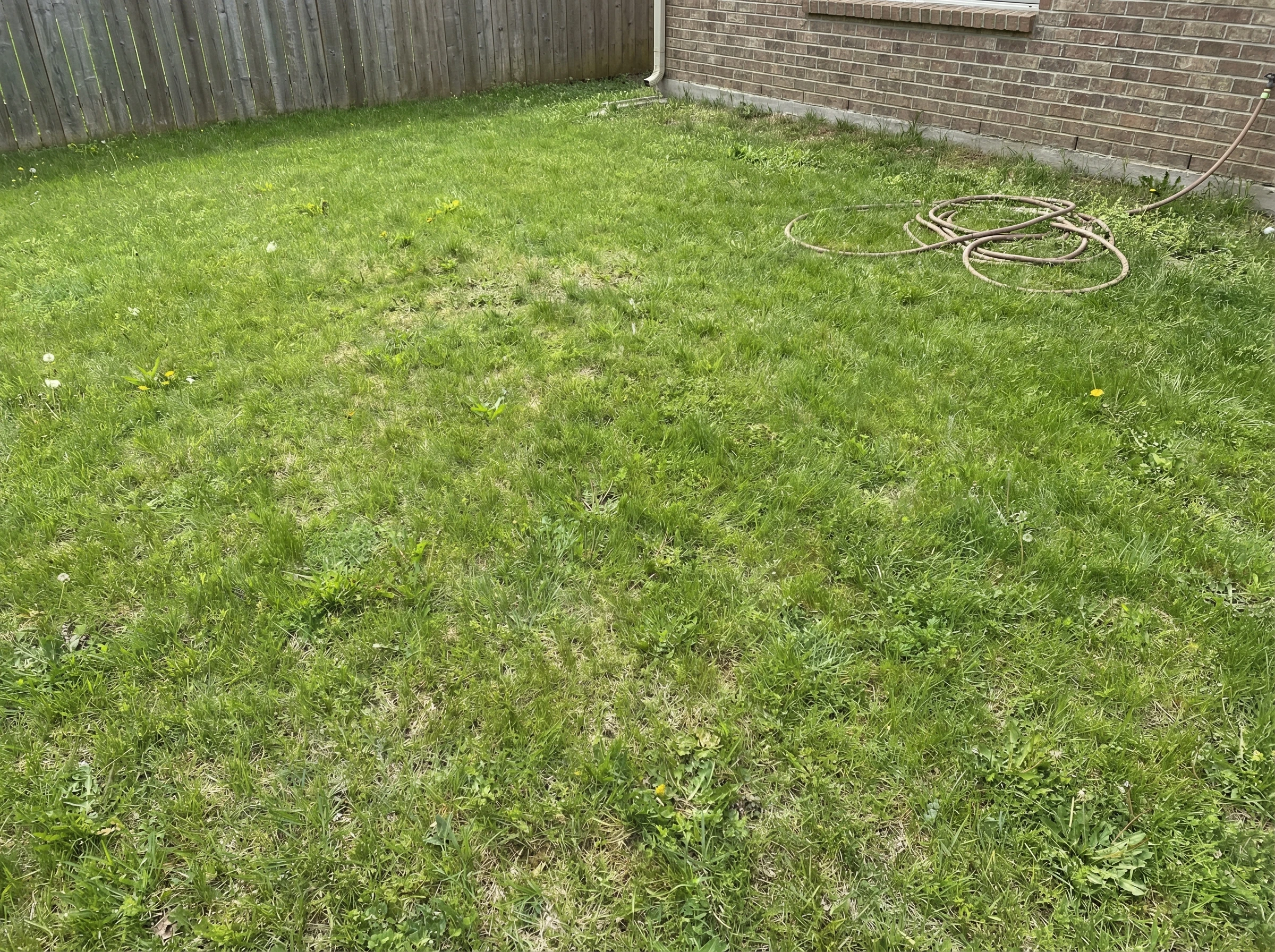 Участок до ландшафтного дизайна